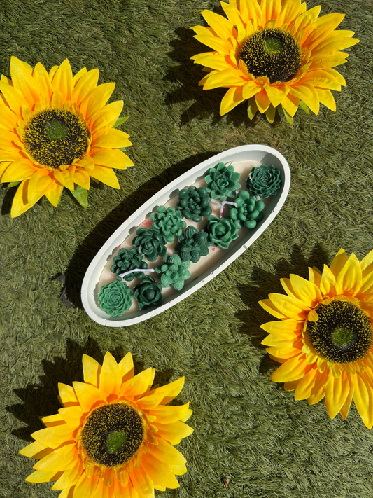 Succulent Garden Scented Candle – Fresh & Calming Aroma