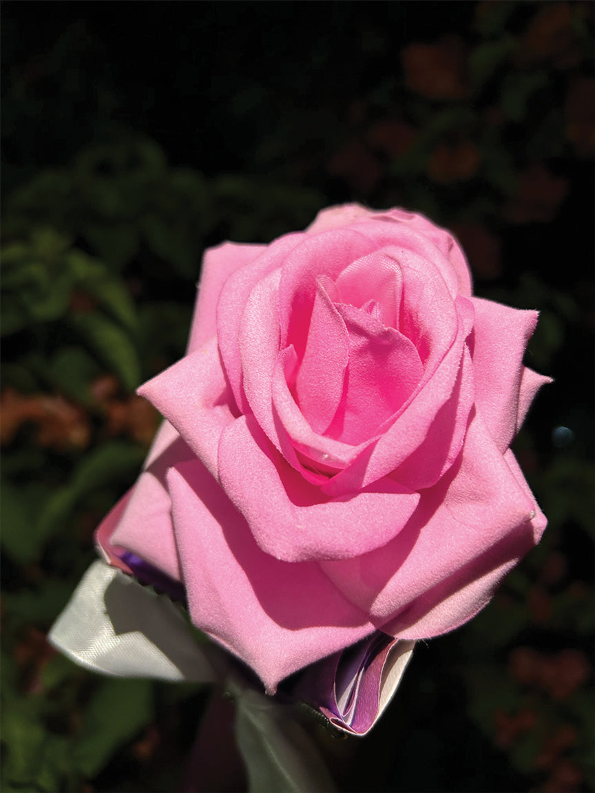 Pink Rose Bouquet